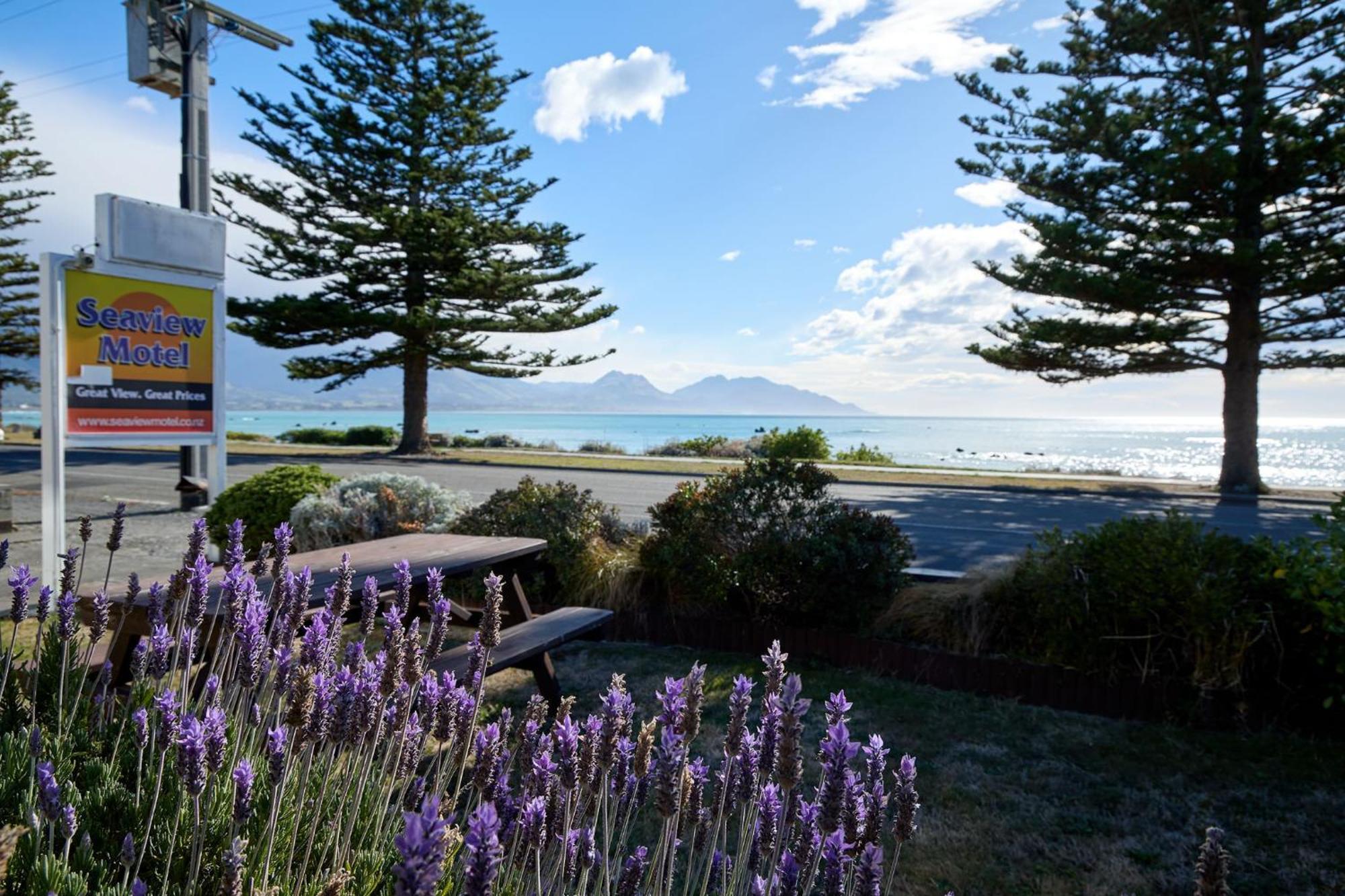 Sea View Motel - Unit 5 Kaikoura Exteriör bild